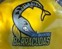 Swim cap with the name Brooktree Baracudas and image of a barracuda swimming around text.